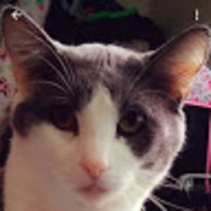 Meet your Posher, Robert